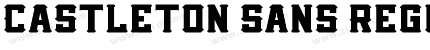 Castleton Sans Regul字体转换